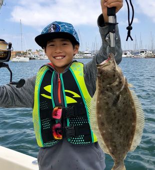 Flounder, Child Friendly bay fishing trip!