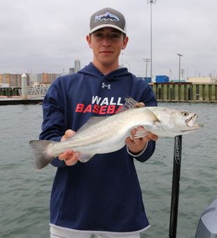 Exploring San Diego Bay Waters