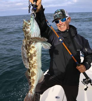 Thrilling San Diego Bay Fishing