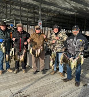 Nothing beats lake fishing!