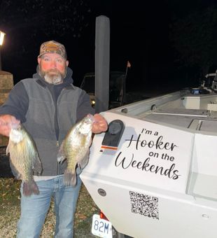 Solid crappie haul at night