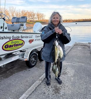Excellent walleye catch from Pittsburg Missouri waters!