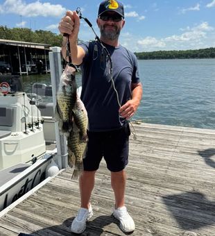 Experience the best freshwater fishing at Pomme de Terre Lake in Pittsburg, MO, where every trip offers a chance to reel in trophy-worthy catches.