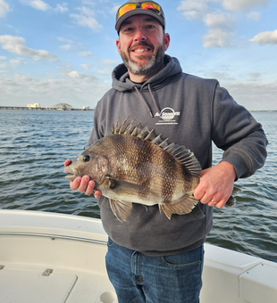 Beautiful Biloxi sheepshead ready for the cooler!