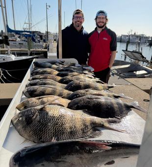 Cold-water sheepshead fishing in Biloxi