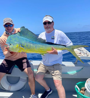 Chasing Mahi Mahi in Key West