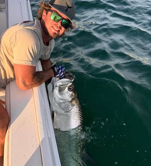 Strong silver tarpon release Tampa Bay