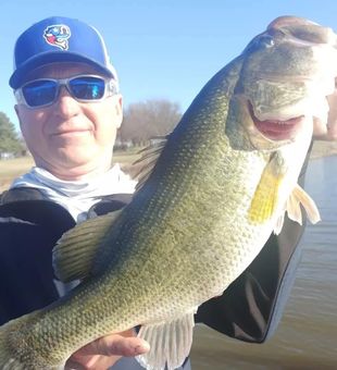 Nice bass from the waters around Alba!