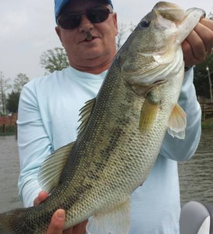 Nice bass from the waters of Alba TX!