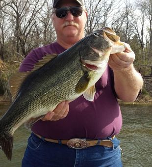 Solid largemouth bass catch