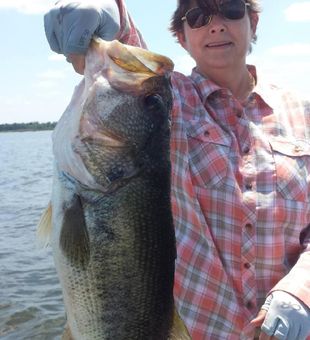 What a monster bass catch in Alba TX!