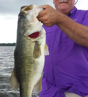 Monster bass from Alba TX waters!