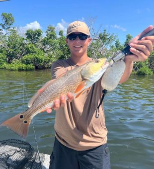 Boca Grande anglers landing trophy fish this morning