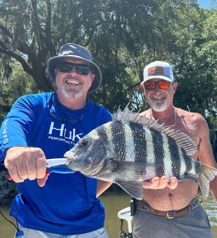 Sheepshead glory Edisto Beach fishing charters.