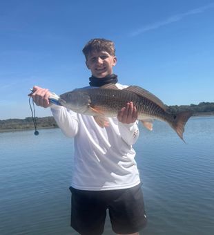 Edisto Beach redfish success story!