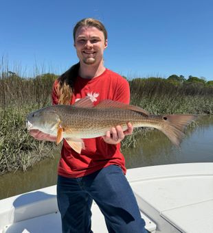 Beautiful Edisto Beach redfish makes the day complete!