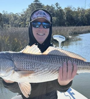 Redfish inshore fishing in South Carolina waters