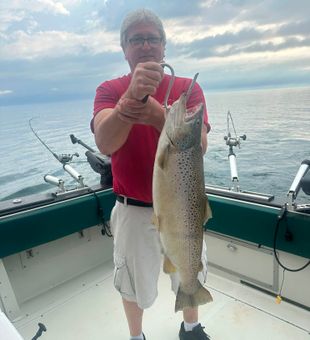 Nice brown trout from Olcott NY waters!