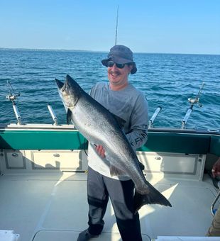 Beautiful Chinook salmon from Olcott NY waters!