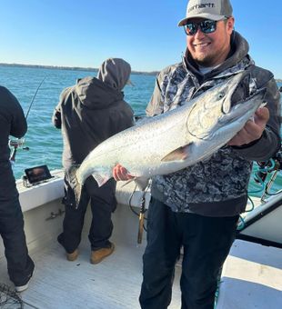 Big Chinook salmon catch on open water charter boat