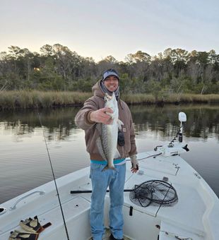 Reel your Morehead catches now!