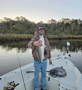 Nice speckled trout from Morehead City waters!