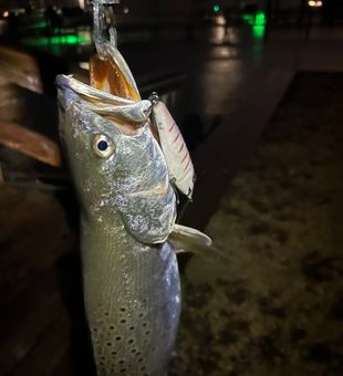 Night Run for Trout - Morehead City, NC.