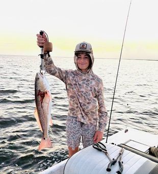 Reds are here - Port O'Connor, TX.