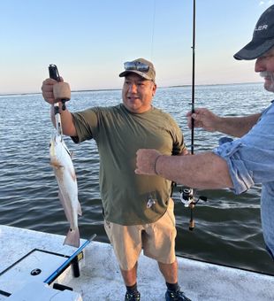 Chasing hard-fighting redfish along the Port O’Connor Texas coast.