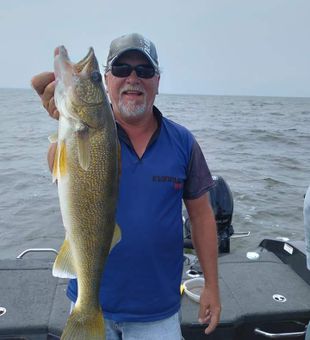 Walleye in Green Bay