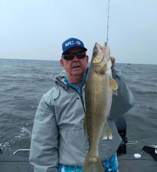 Walleye in Lake Winnebago