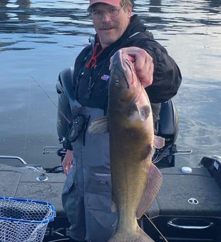 Walleye in Wisconsin