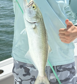 Tackle versatility pays off with a prized bluefish in Cape Coral!