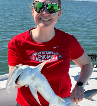 Cape Coral bonnethead shark makes for great fishing action!