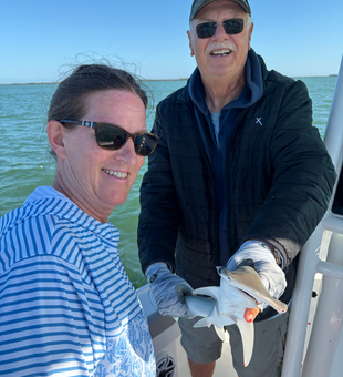 Nice bonnethead shark caught in Cape Coral waters!