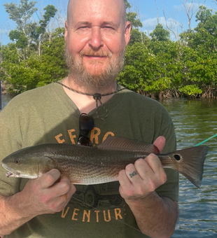 Cape Coral redfish making the day worthwhile!