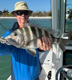 Beautiful Cape Coral sheepshead brings the action!