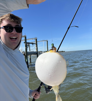 Nice pufferfish catch near the dock! Clear conditions made for an exciting fishing adventure.
