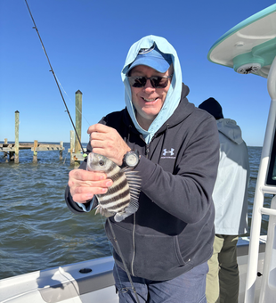 Nice sheepshead caught using heavy and light tackle at Burnt Store Boat Ramp today!