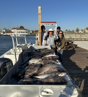 Louisiana's Fishing Sheepshead Bounty