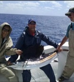 Miami Beach Sailfish in Action