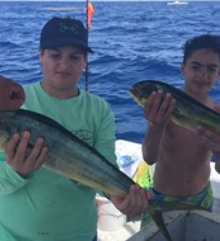 Trophy-sized Mahi-mahi In Miami Beach, FL