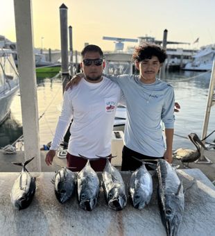 Loaded dockside! Exciting Tuna and Mackerel catch after an offshore fishing trip
