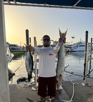 Big catch day! Exciting Barracuda and Tuna haul at the marina