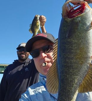 Best Fly Fishing Trips in VA!