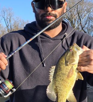 Bass catching in Leesburg VA