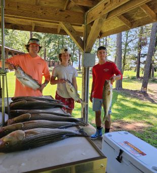 Reel in the big one in SC’s waters!