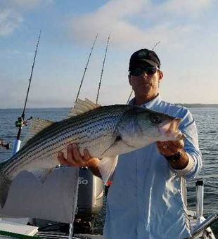 Striped bass bonanza with South Carolina Fishing