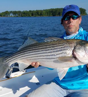 Reeling in the thrill of Striped bass in SC!