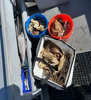 Crabbing great September-January!